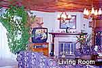 Living Room showing window and fireplace view