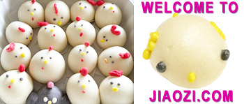 Single  餃子 jiaozi dumpling introducing group of dumplings for ANTI-RACISM awareness fr Jiaozi.com