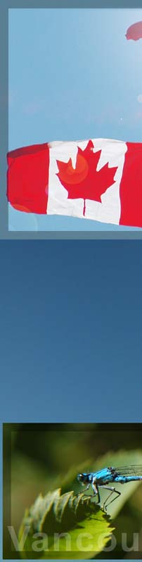 Photo : skydiver - parachuting with Canada Flag - welcome to Abbotsford Air show (top) - Damsel-Fly  below)